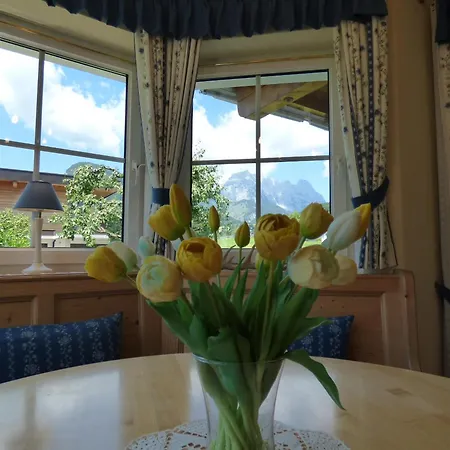Bachler Apartment Kirchdorf in Tirol